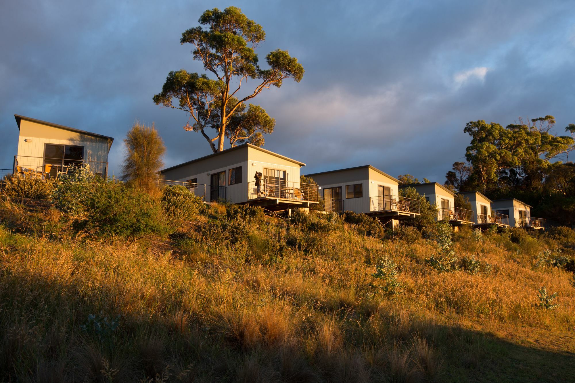Swansea Beach Chalets Exterior photo